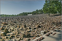 P1680367_8_9.jpg(347 KB)