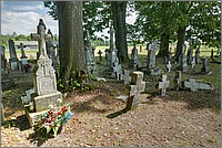 P1680391_2_3.jpg(379 KB)