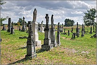 P1680394_5_6.jpg(323 KB)