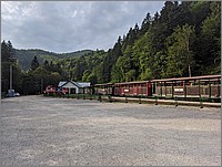 PXL_20250809_154414001.jpg(228 KB)