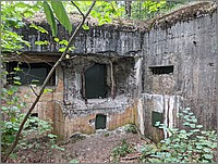 PXL_20250817_101001787.jpg(303 KB)