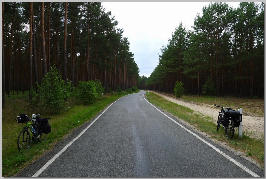 P1000826.JPG (172 KB)