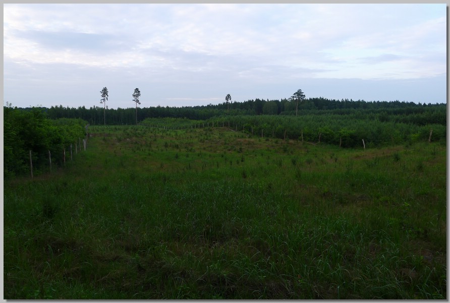 P1010030.JPG (106 KB)