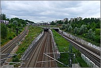 P1000941.JPG(175 KB)