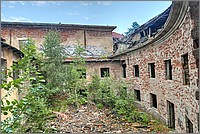 P1630924_5_6.jpg(356 KB)