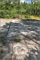 P1630966_7_8.jpg(175 KB)