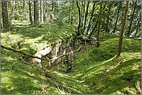 P1630972_3_4.jpg(408 KB)