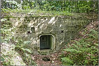 P1630984_5_6.jpg(405 KB)