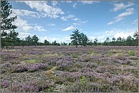 P1640006_7_8.jpg(285 KB)