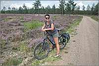 P1640009_10_11.jpg(339 KB)