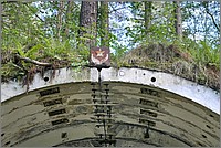 P1640033_4_5.jpg(332 KB)