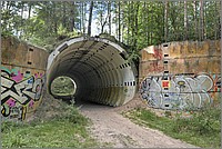 P1640036_7_8.jpg(326 KB)