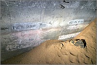 P1640084_5_6.jpg(242 KB)