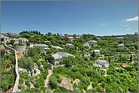 P1500943_4_5.jpg(298 KB)