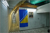 P1510334_5_6.jpg(196 KB)