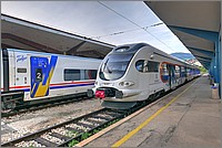 P1510410_1_2.jpg(222 KB)