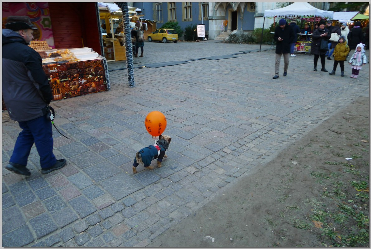 P1340151.JPG (258 KB)