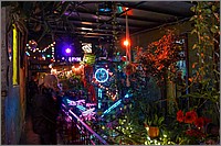 P1320734_5_6.jpg(273 KB)
