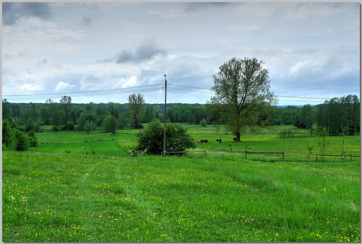 P1360086_7_8.jpg (286 KB)