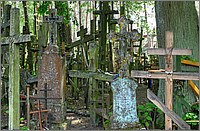 P1360062_3_4.jpg(411 KB)