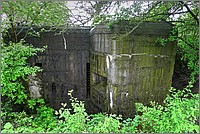 P1360083_4_5.jpg(465 KB)