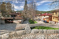 P1660357_8_9.jpg(365 KB)