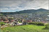 P1660366_7_8.jpg(269 KB)