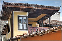 P1660390_1_2.jpg(241 KB)
