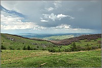 P1660474_5_6.jpg(210 KB)