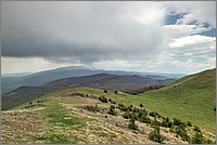P1660501_2_3.jpg(196 KB)