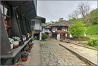P1660531_2_3.jpg(265 KB)