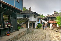 P1660534_5_6.jpg(239 KB)