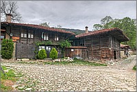 P1660640_1_2.jpg(299 KB)