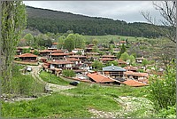 P1660646_7_8.jpg(338 KB)