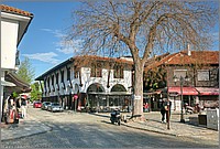P1660667_8_9.jpg(327 KB)