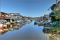 P1660694_5_6.jpg(224 KB)