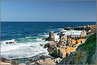 P1660745_6_7.jpg(234 KB)