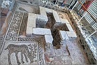 P1660787_8_9.jpg(296 KB)