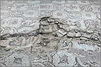 P1660820_1_2.jpg(320 KB)