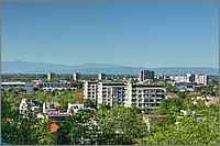 P1660889_90_91.jpg(247 KB)