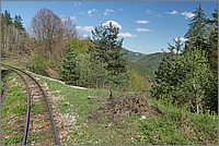 P1660972.JPG(330 KB)