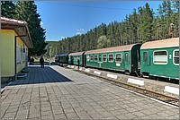 P1660981_2_3.jpg(286 KB)