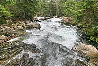 P1670094_5_6.jpg(353 KB)