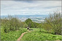 P1670211_2_3.jpg(293 KB)
