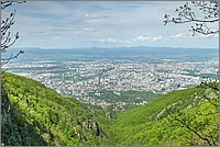 P1670220_1_2.jpg(285 KB)