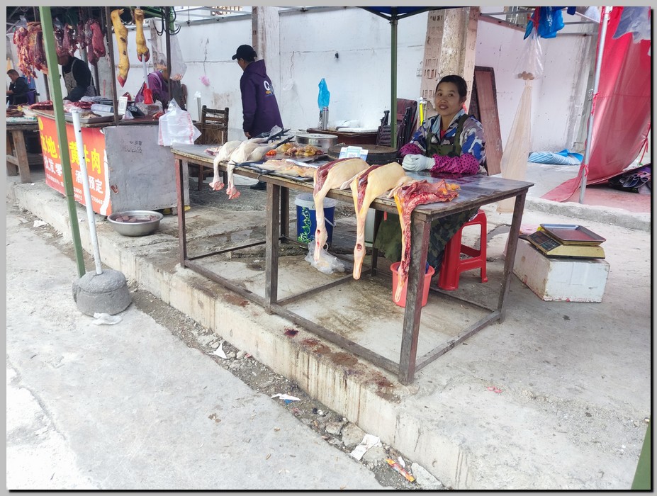 IMG_20251117_162328.jpg (211 KB)