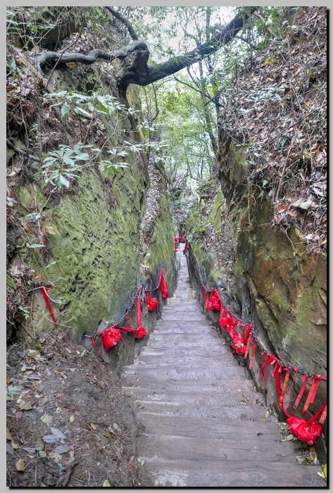 P1680565_6_7.jpg (198 KB)