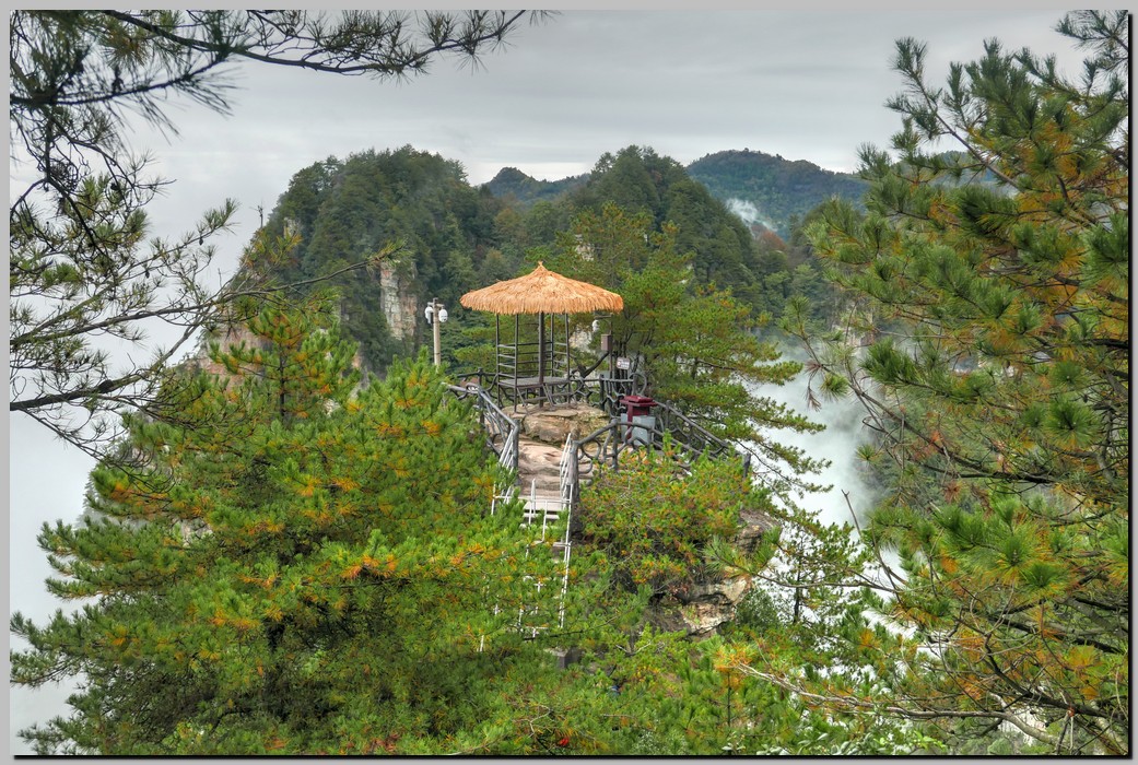 P1680571_2_3.jpg (346 KB)