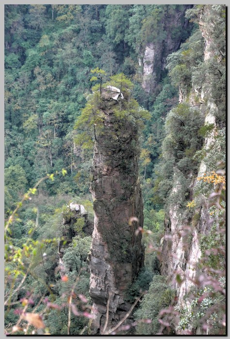 P1680649_50_51.jpg (184 KB)