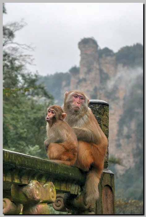 P1680757_8_9.jpg (104 KB)